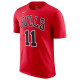 Nike Ανδρική κοντομάνικη μπλούζα NBA Chicago Bulls Essentials